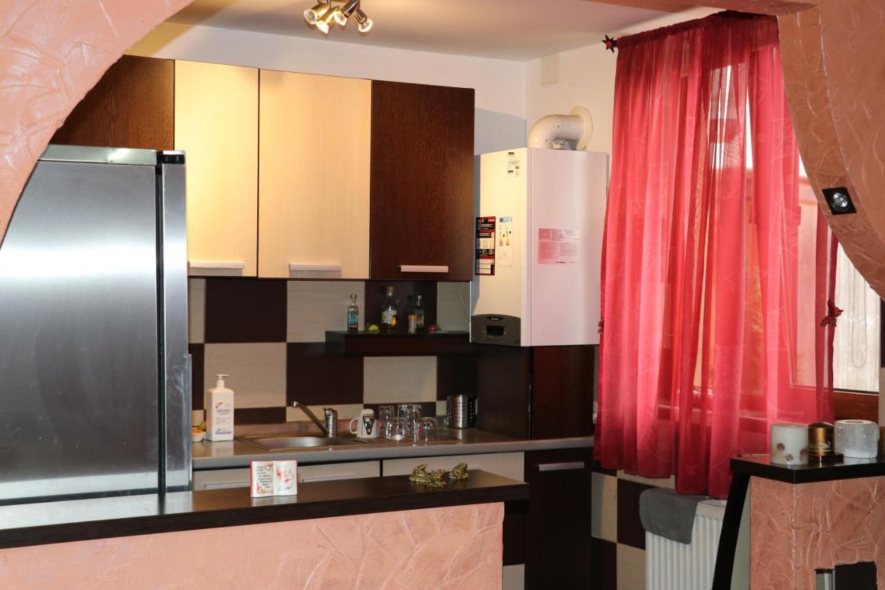 Făgăraş Amelia House酒店 外观 照片